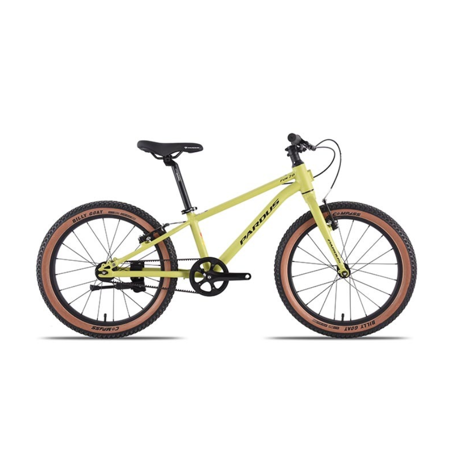 Pardus Fun 20″ Rim Green Bicycle