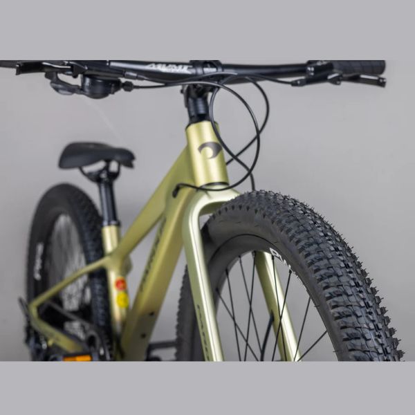 Pardus Mini Naik RS 24 Inch Kids Mountain Bike